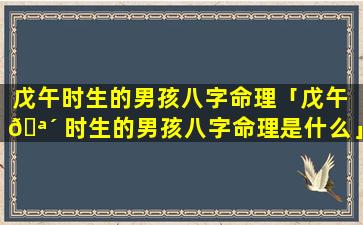 戊午时生的男孩八字命理「戊午 🪴 时生的男孩八字命理是什么」